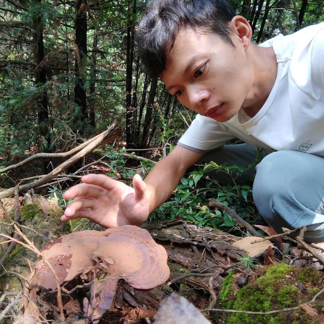 百草识君
