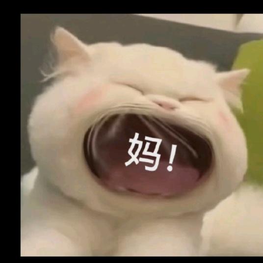 卡其马🥳