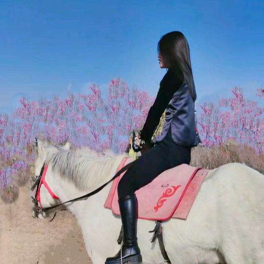 💄王十一💄
