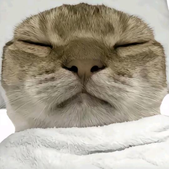 循环（三角洲跑刀）