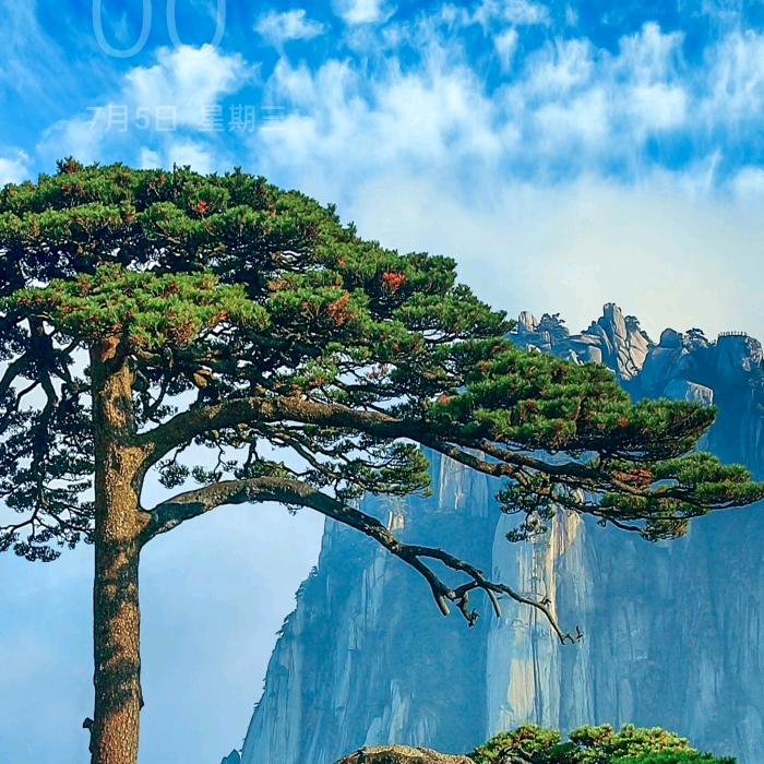 一生有你