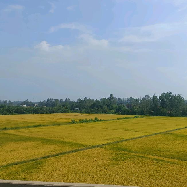 疯子的快乐你不懂