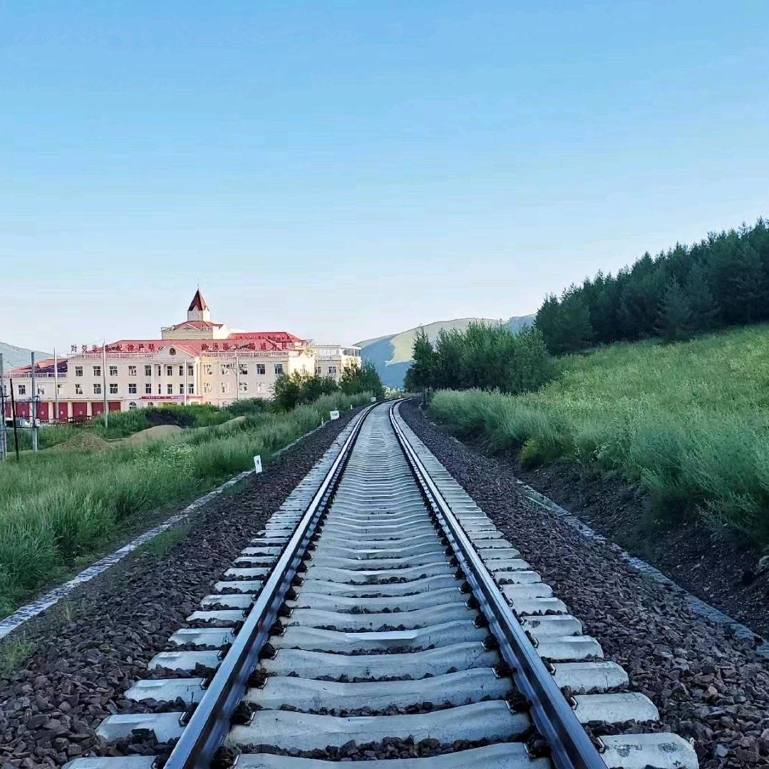 迷彩下的浣熊先生