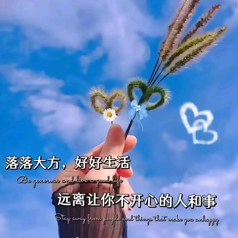 西贝姐