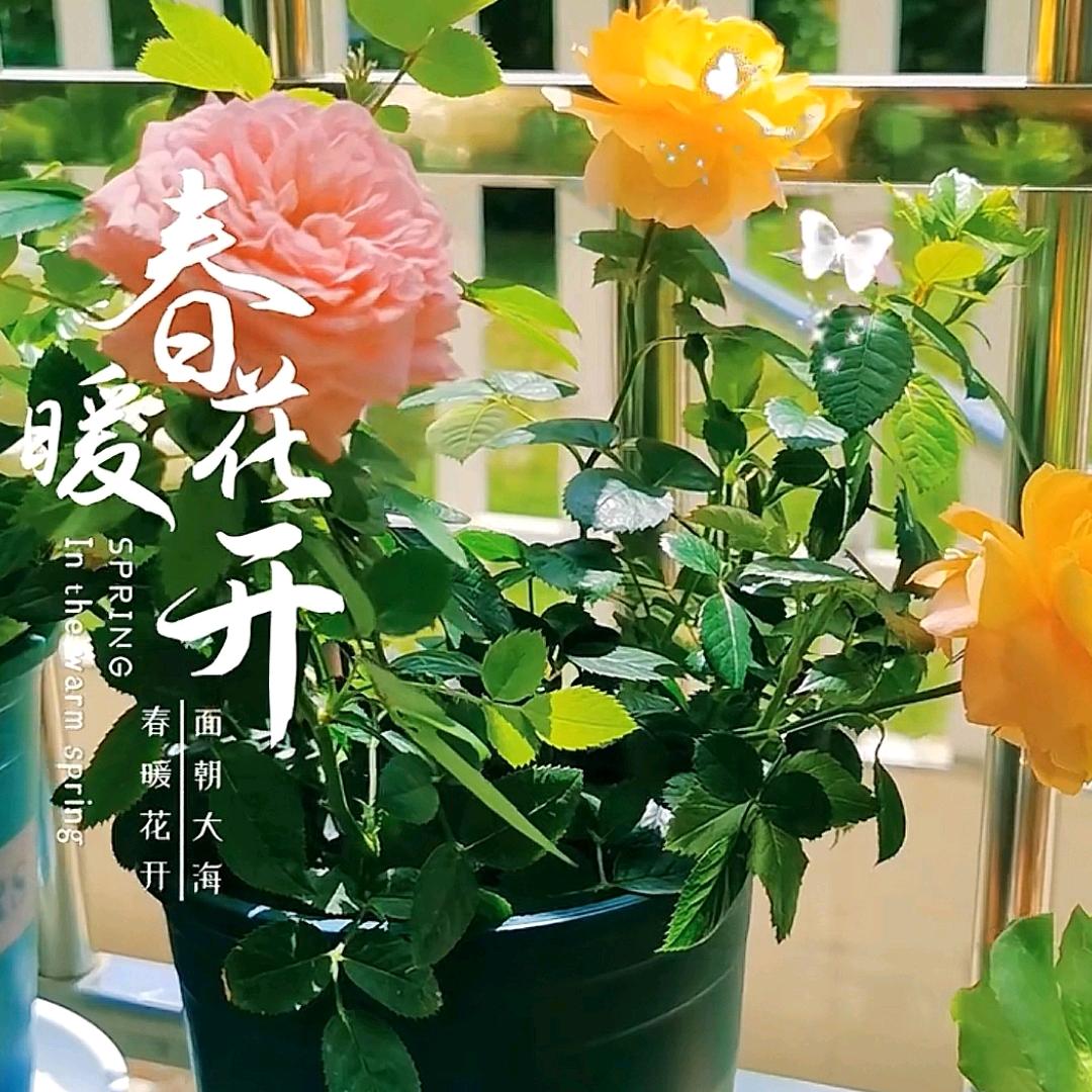 安～然