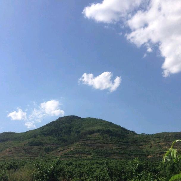余生随心