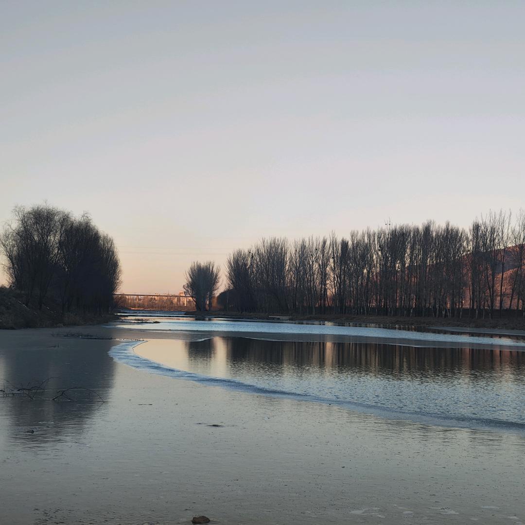 戴着鍠冠的灰姑娘