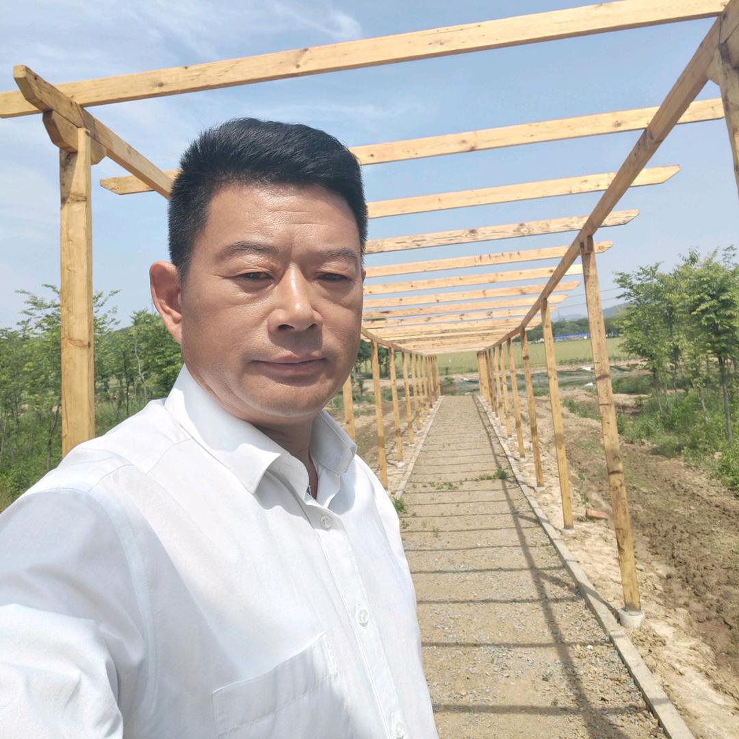 江东梨歌