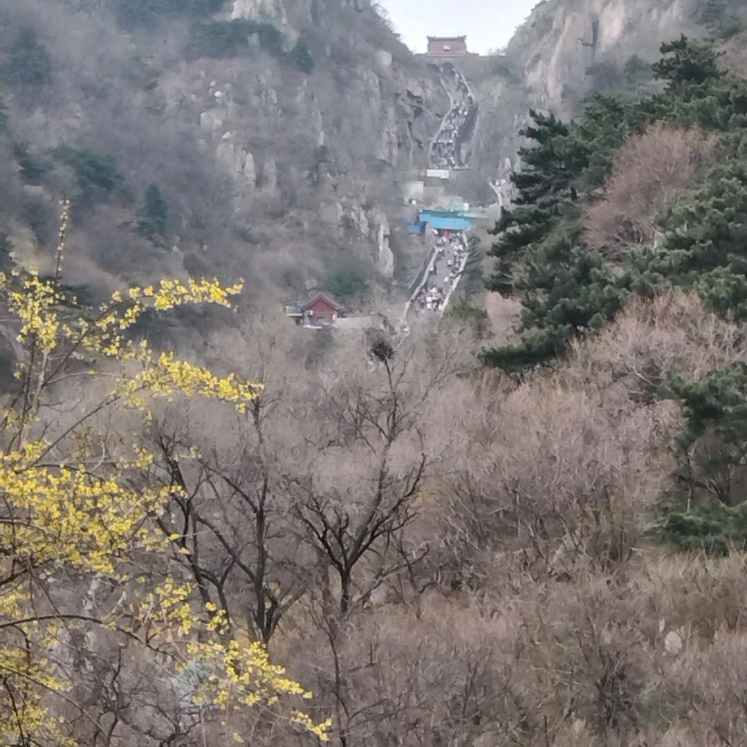昵子