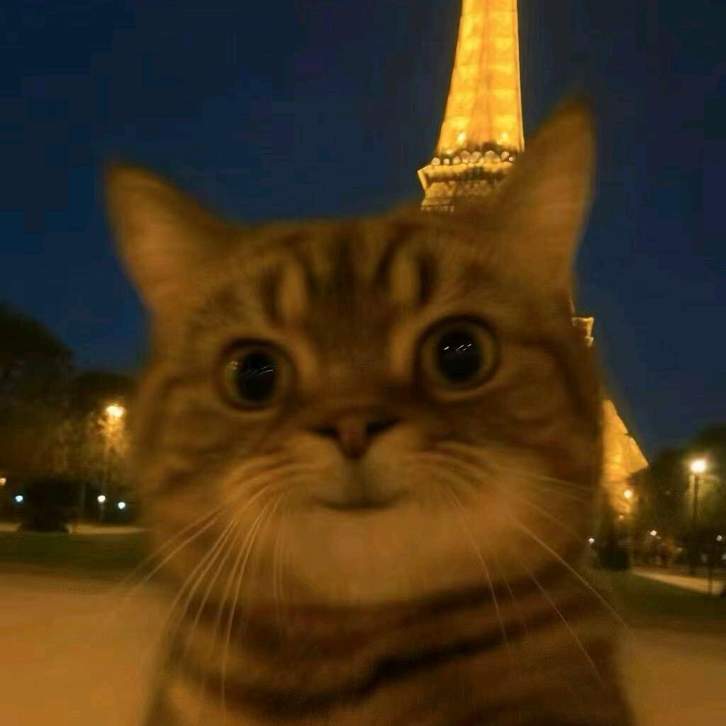 清影