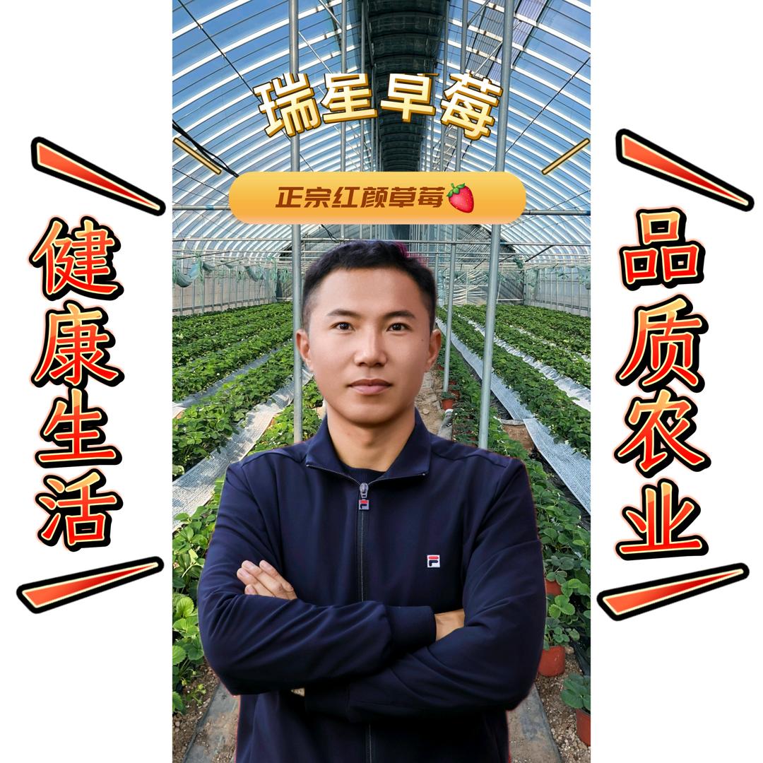 瑞星草莓🍓