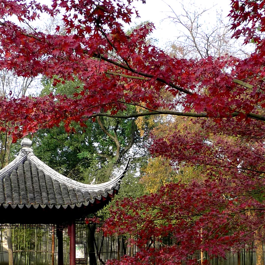 春光明