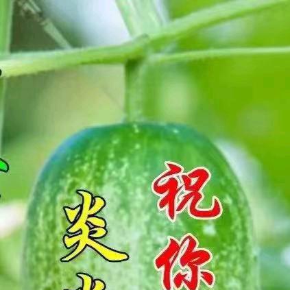 台实防水一黄金英