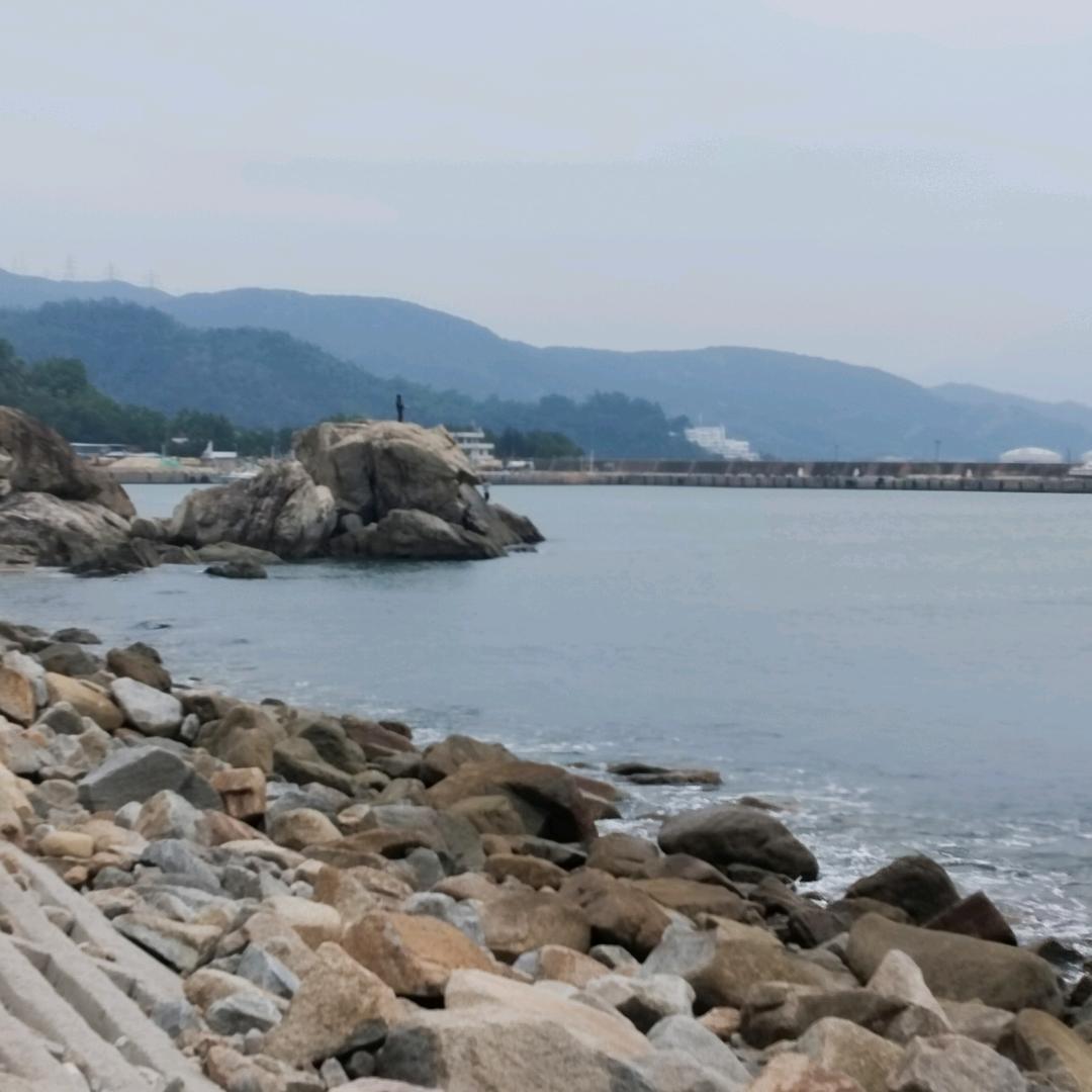 青青一湖水中月