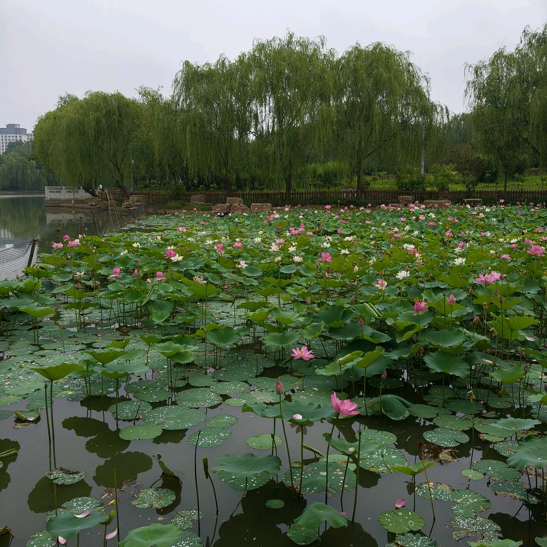 忘记曾经的一切。