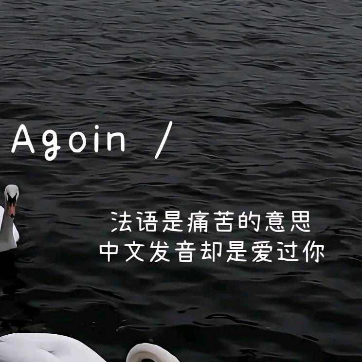 聚麦徳