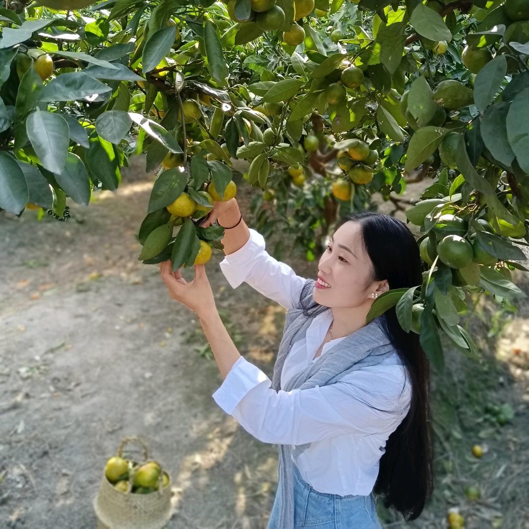 阿布