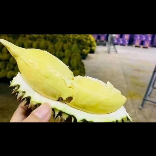 替天行道