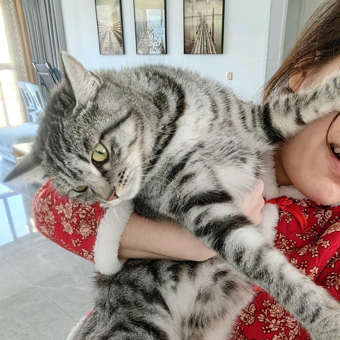 ᩣ໌້ᮨ໌້ᮨ一只྄懒喵༚°࿐