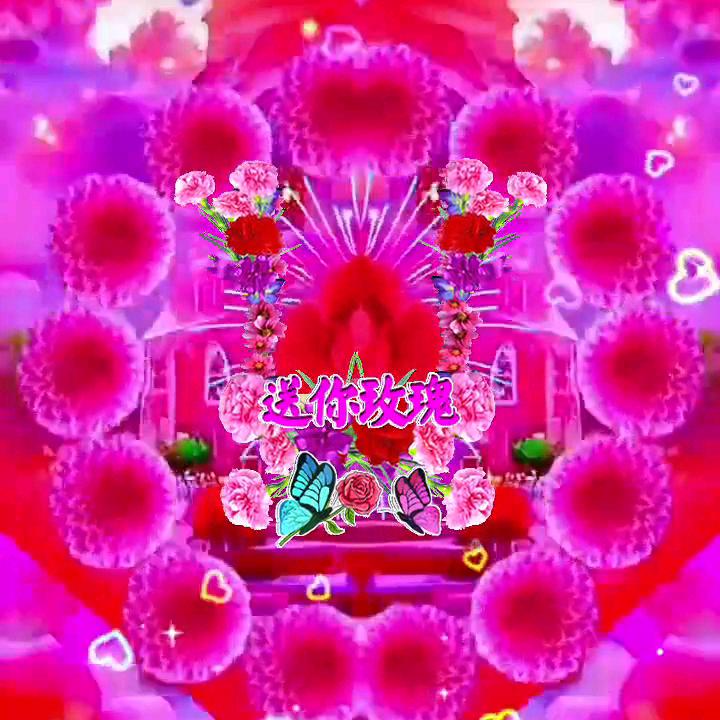 用户2310952842455海红