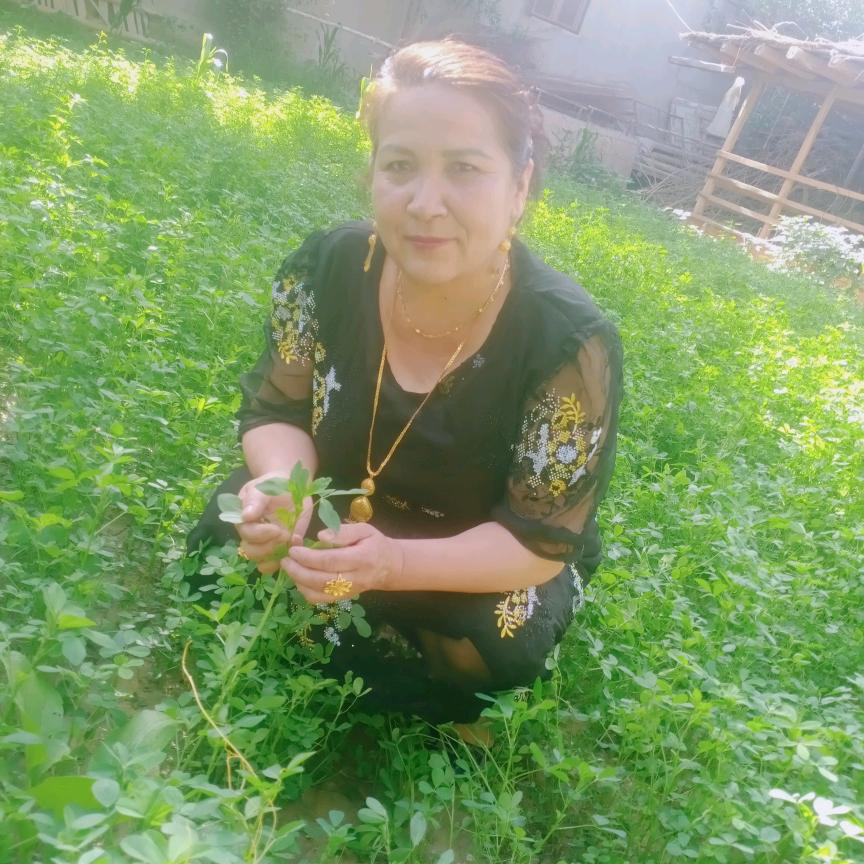 土妮萨罕· 达伍提