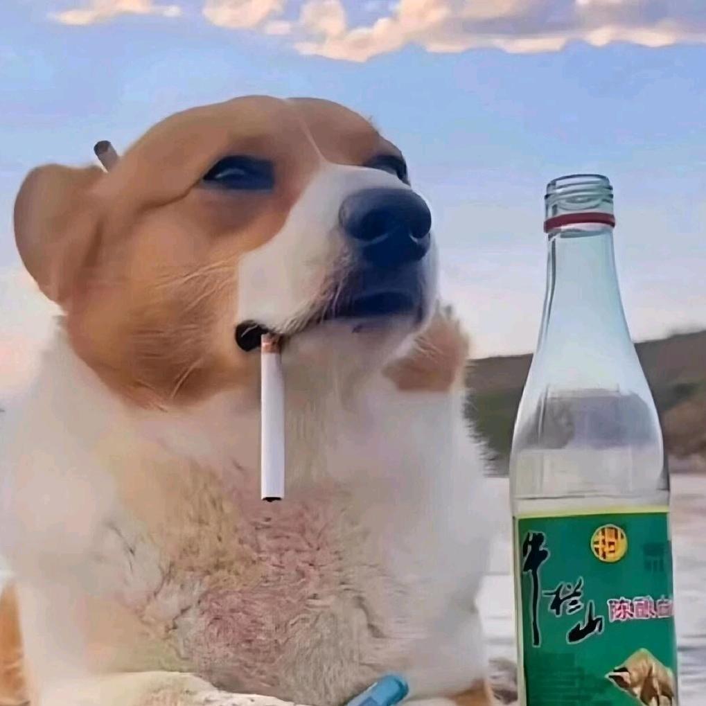 别动，打劫