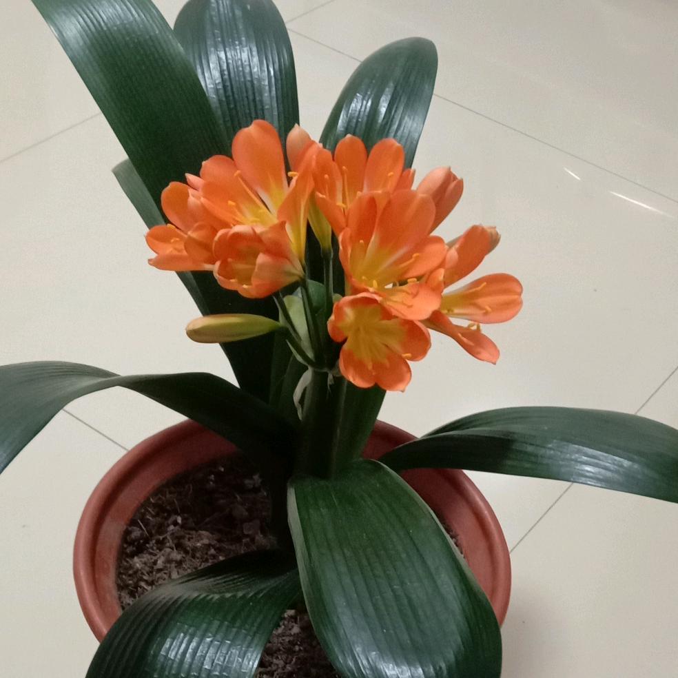 开心就好🌺🌻