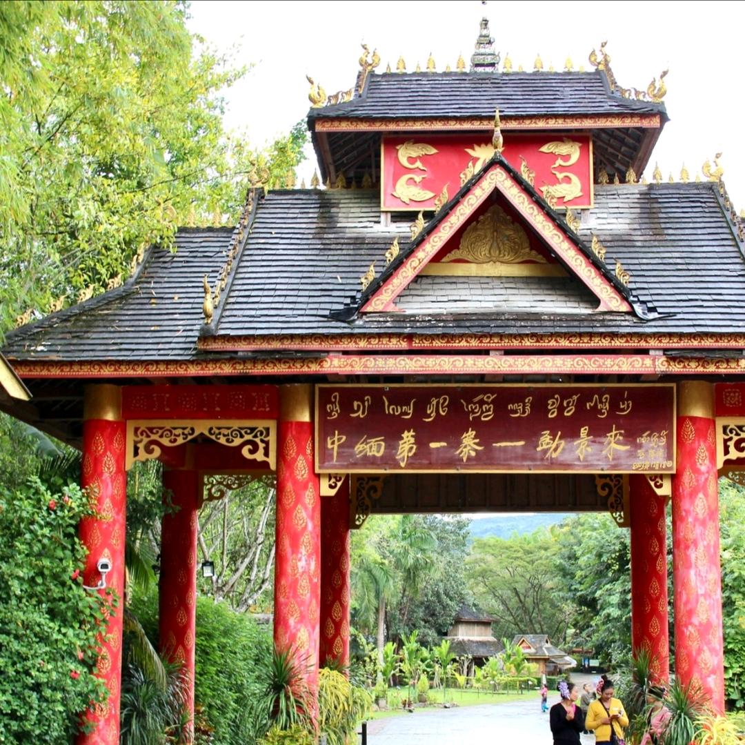 云南普洱老熟茶鉴定出售-罗辉