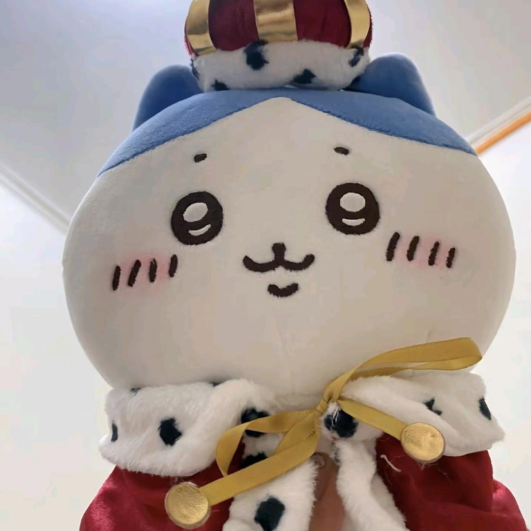 三角洲小八皇帝