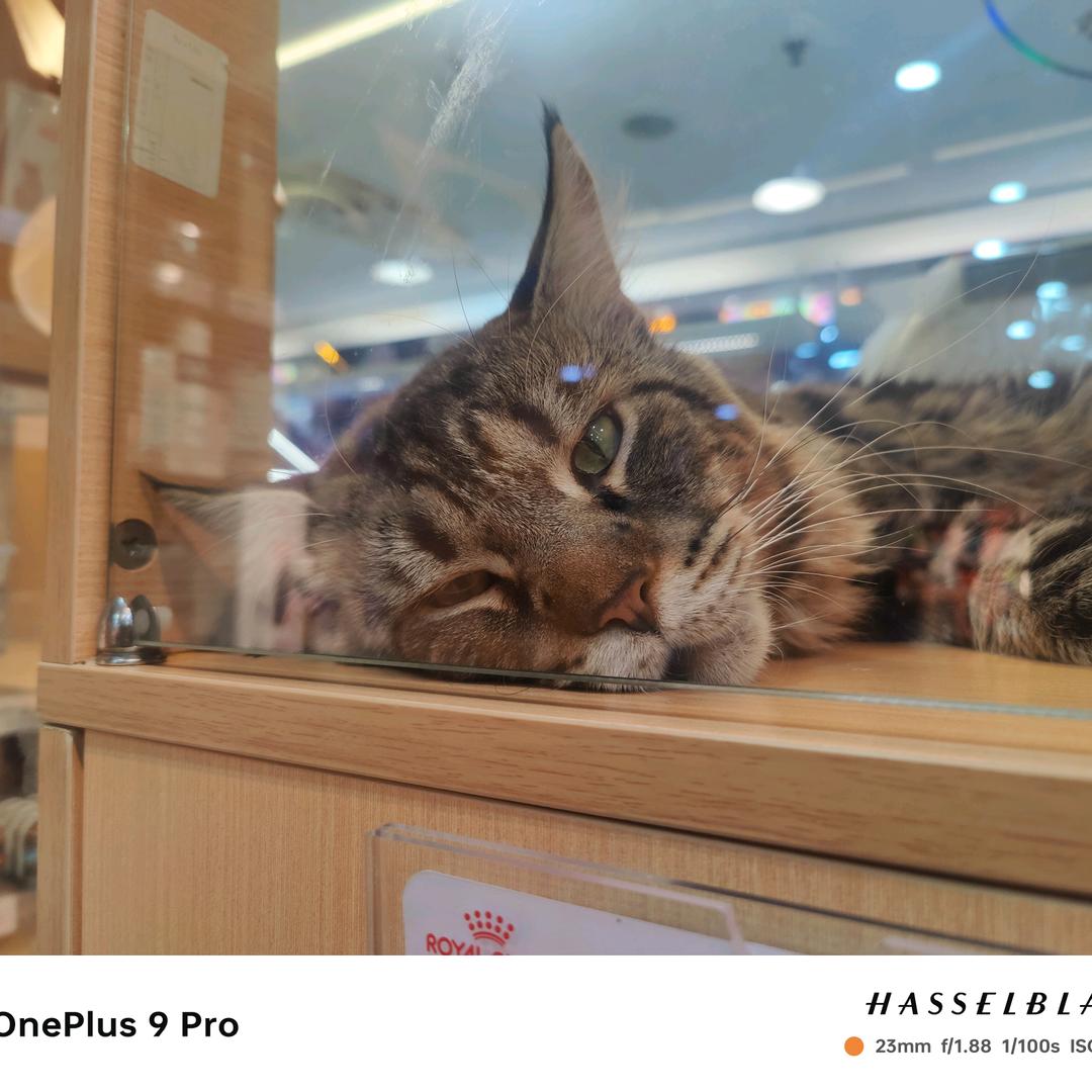 小曾（干饭版）