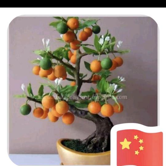 快乐一生