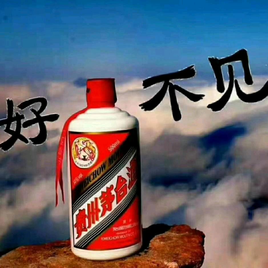 t浪迹天涯