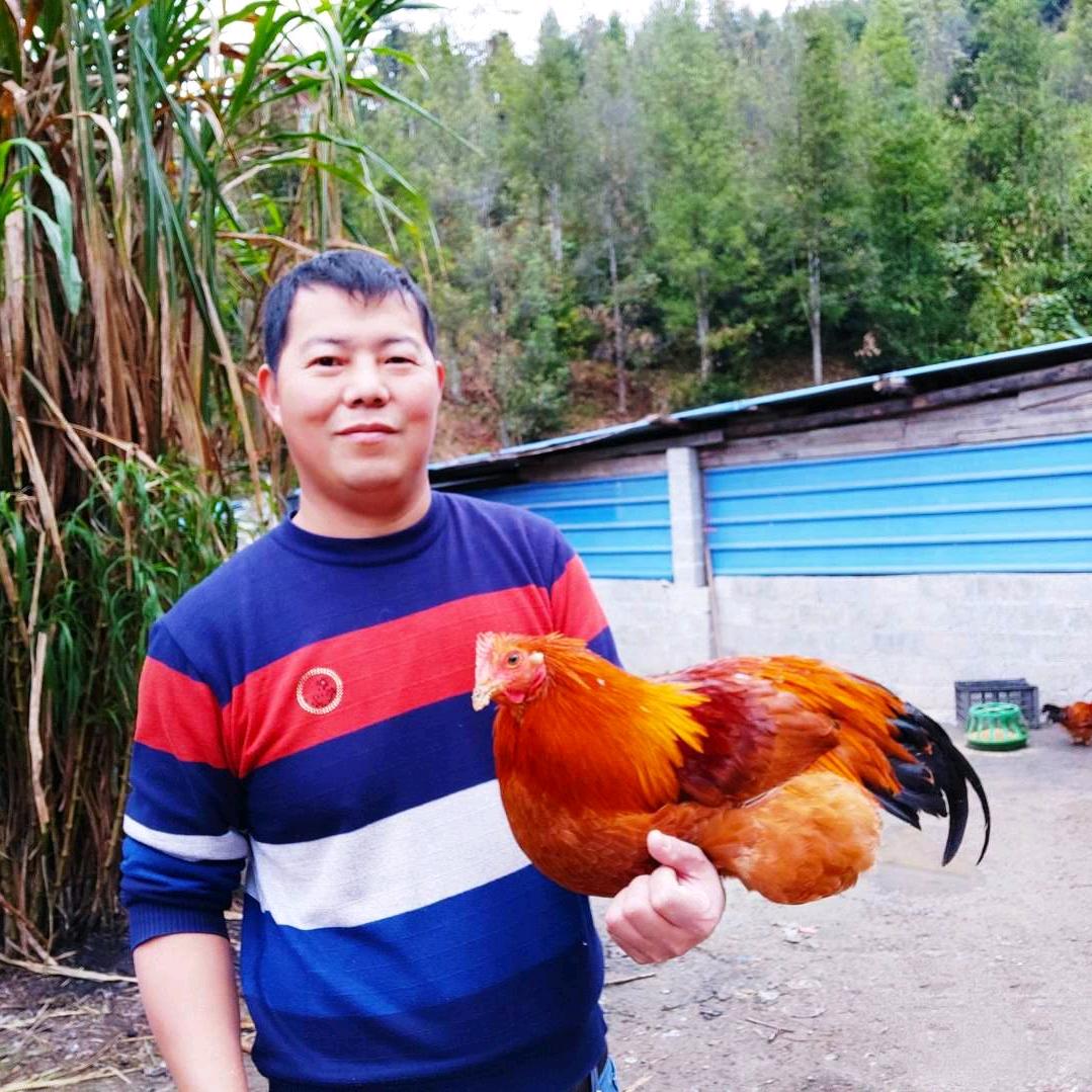 马哥走乡村