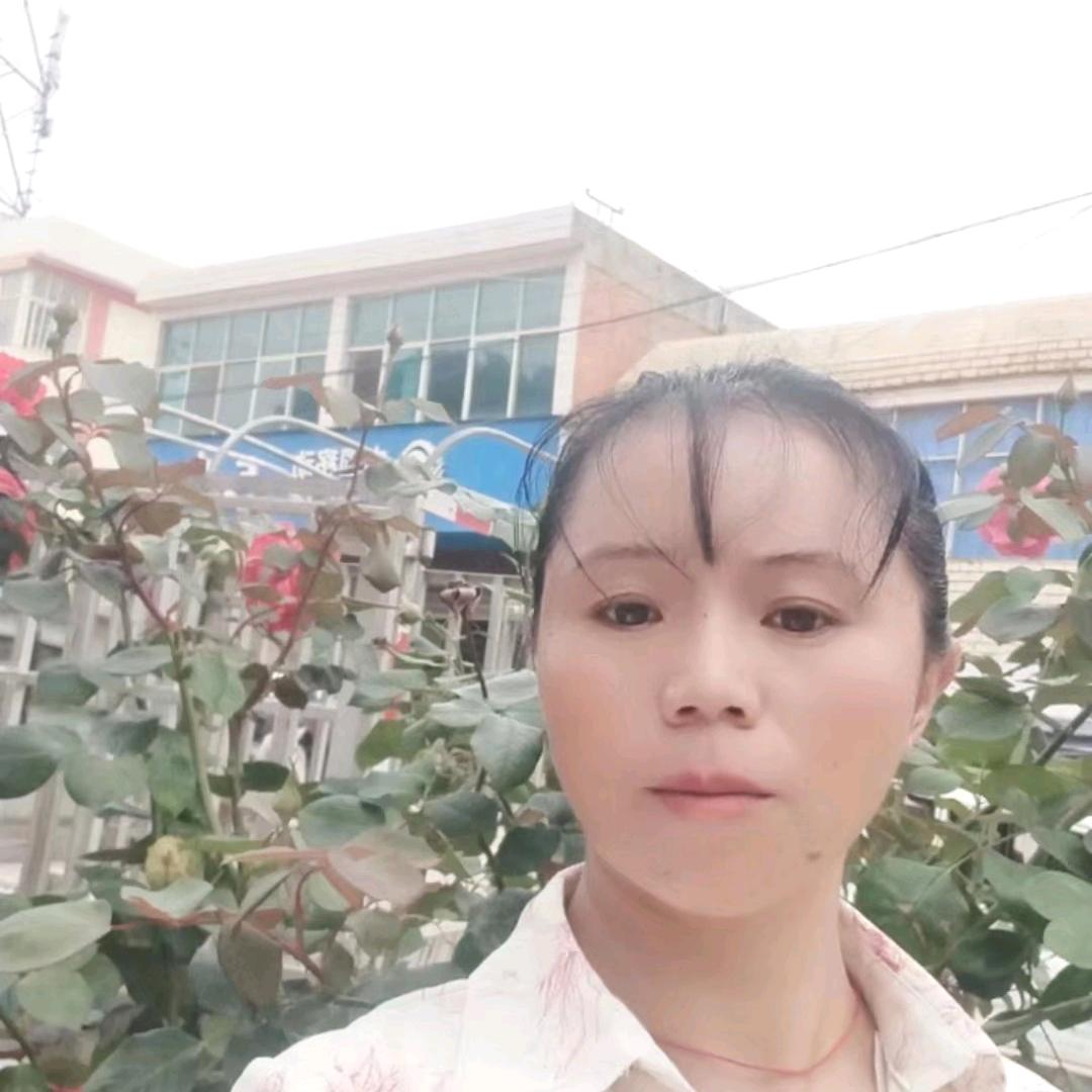 袁礼芬