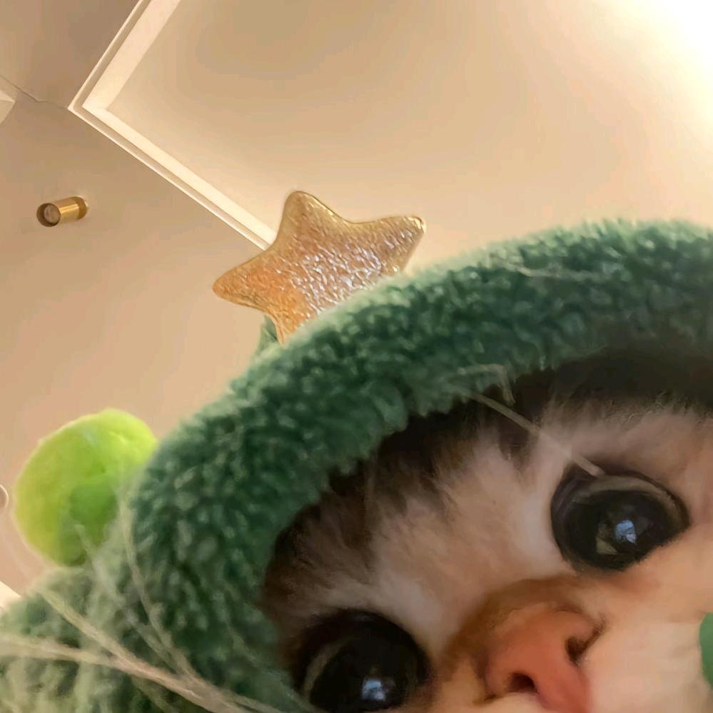 梨子放松区🍐🍐