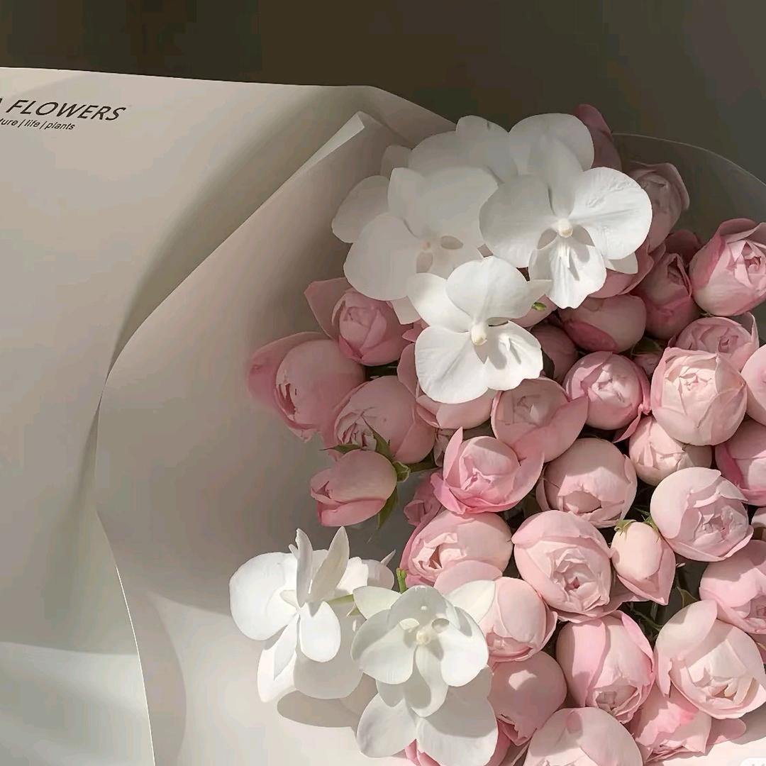 sun💦💦💦💦💦