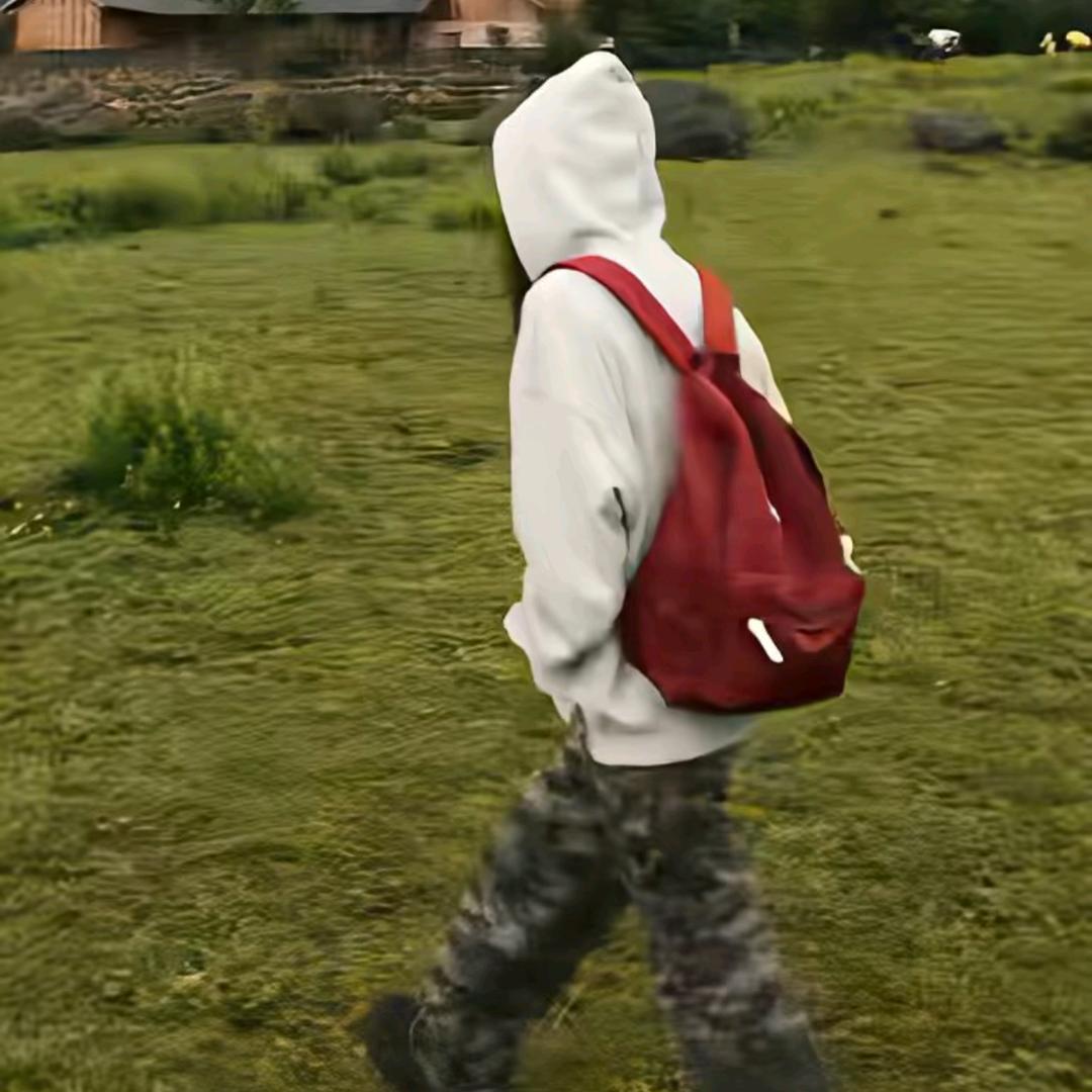 不想摆烂的咸鱼