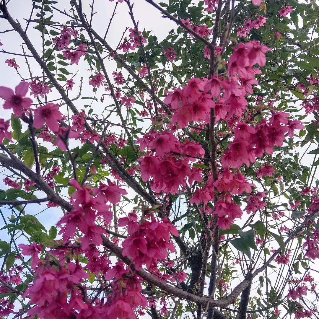 自由自在