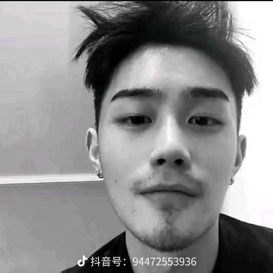 不死鸟也烦恼.