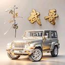 开着宝马去放羊