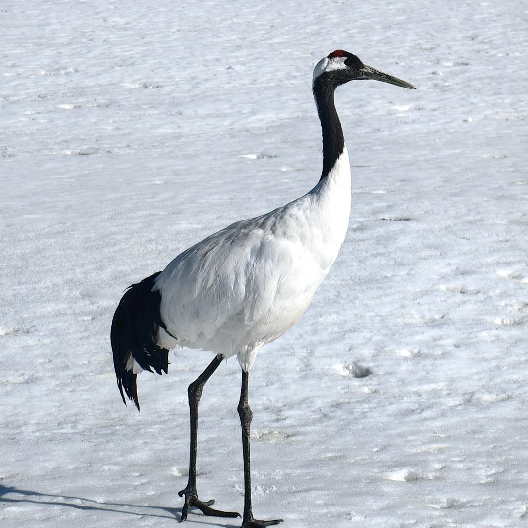 疯狂的青春岁月长
