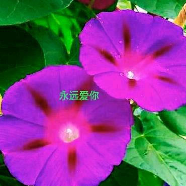 让🌹心💝归🎀零，