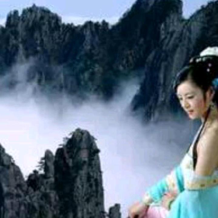 嵩山一棵松李金川