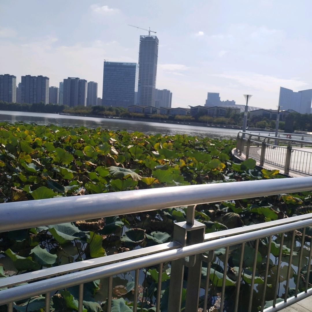 有缘地摊，质量可靠