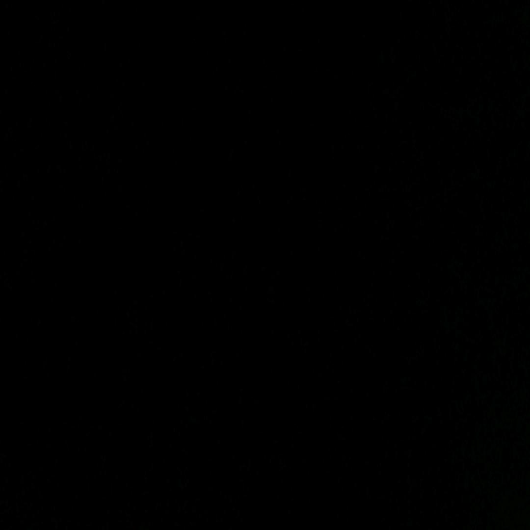 养牛大叔周游世界