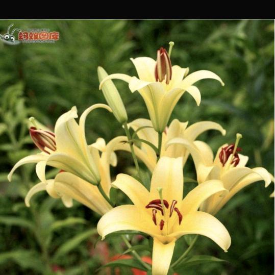 一帆风顺🌺🌼🌻