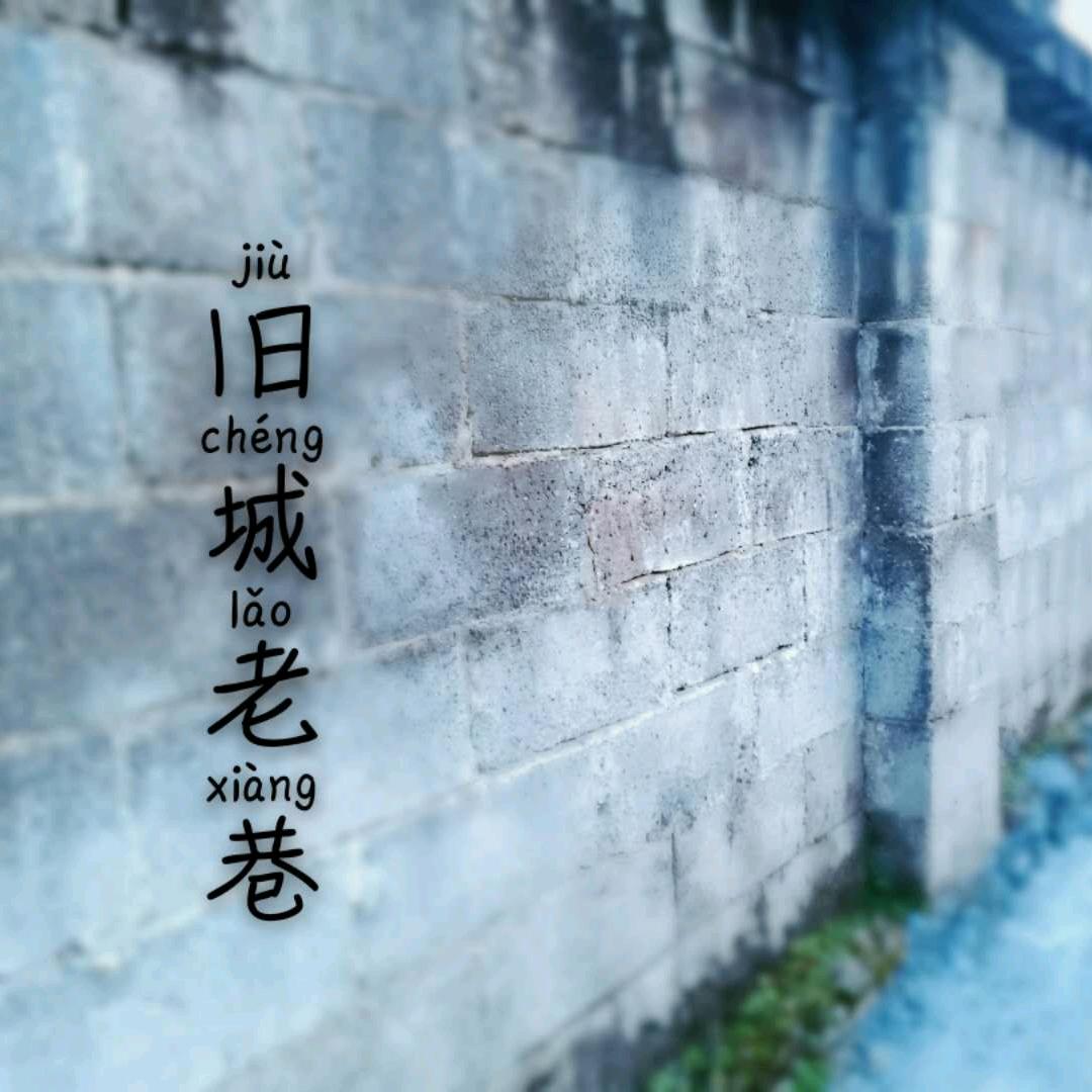 刘晟大大