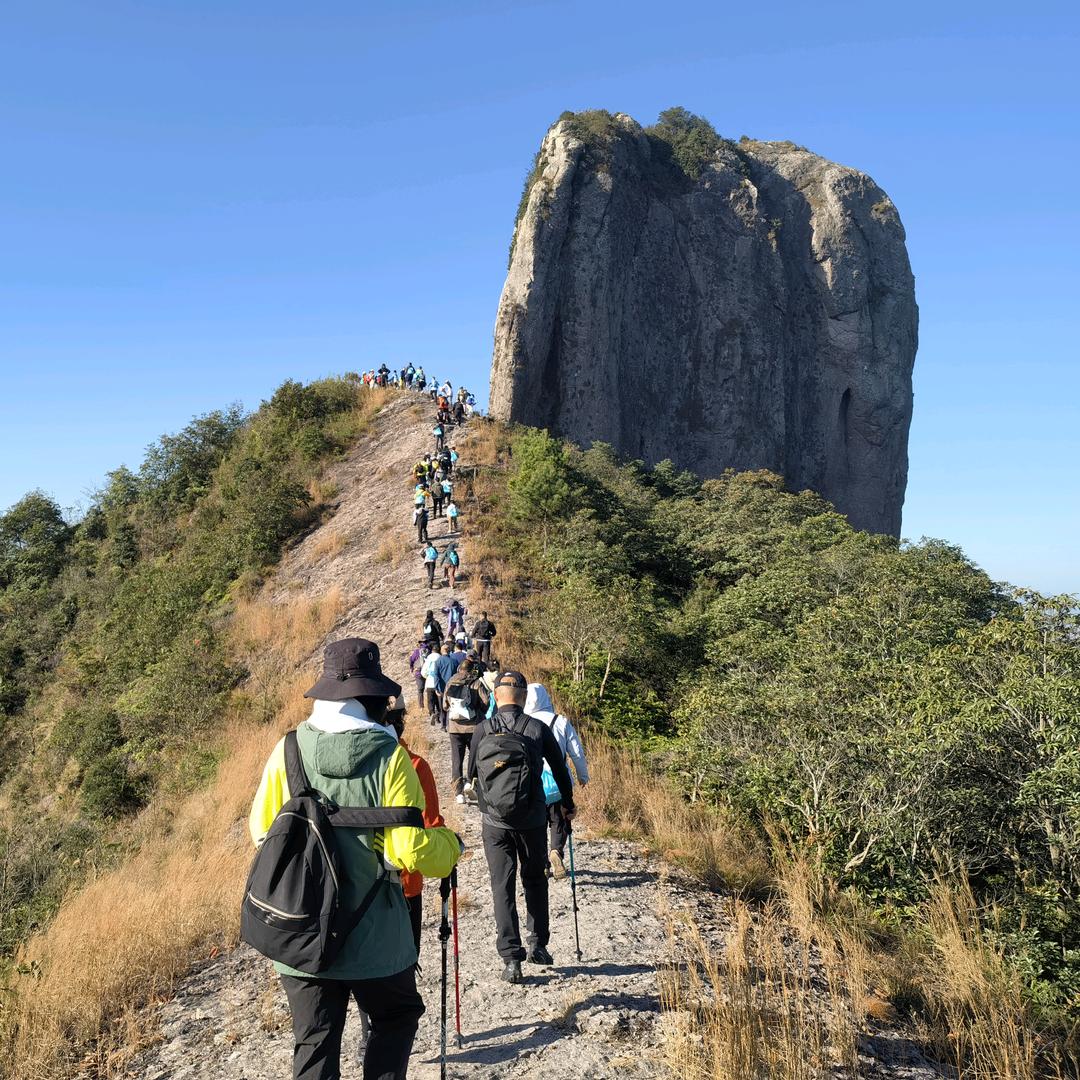 被我评论你就红