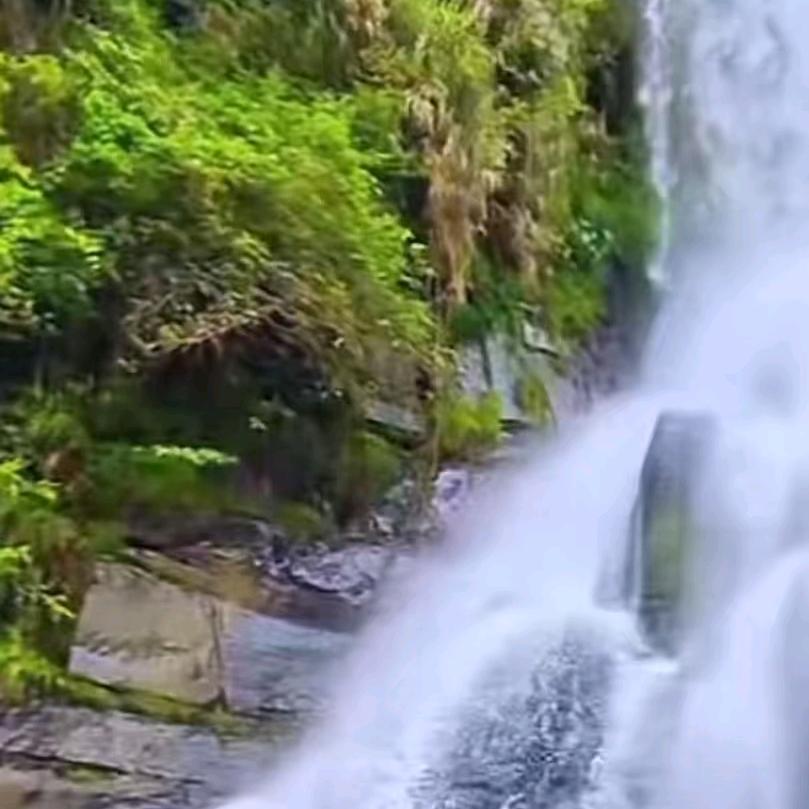 土生土长辣妹子