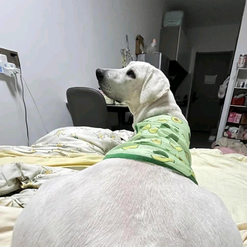 hehe.